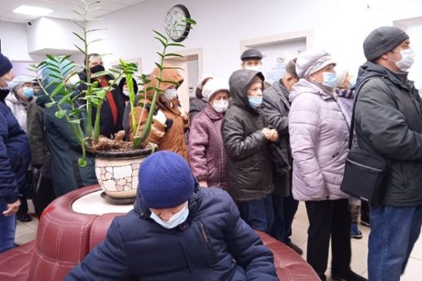 Как восстановить кракен