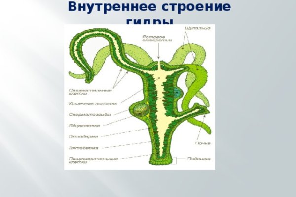 Оригинальная ссылка кракен браузера