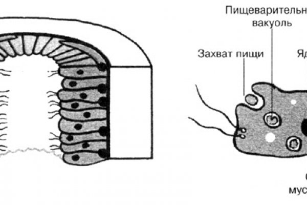 Kraken торрент