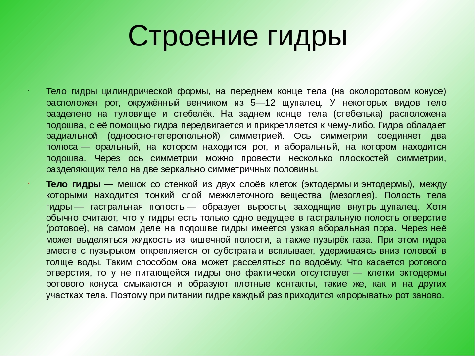 Кракен даркнет отзывы